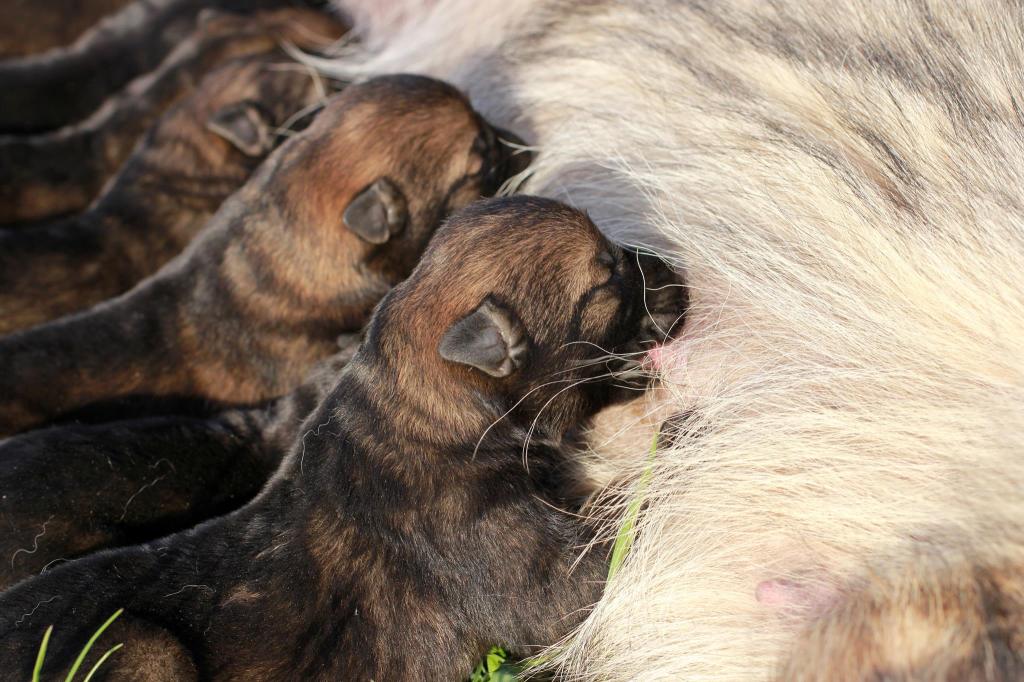 13235023_1173912795993145_1868681929_o