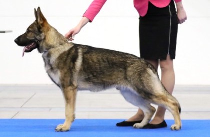 25519758_1756035591113845_2056885636_n