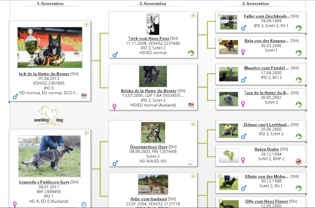 РОДОСЛОВНАЯ Э-ПОМЕТА