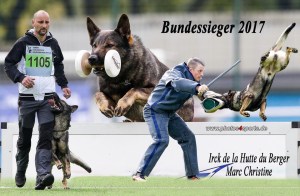 Irck de la Hutte du Berger (2)